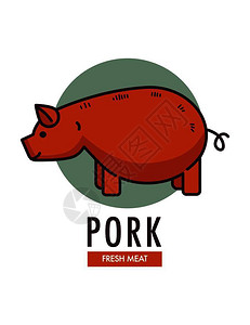 生宵猪猪肉新鲜类促销标志型贴在广告标志上卷尾的肥猪在孤立卡通矢量插图插画