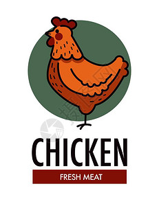鸡肉新鲜类促销标志型与家禽动物在广告徽章上产鸡蛋卡通矢量插图图片