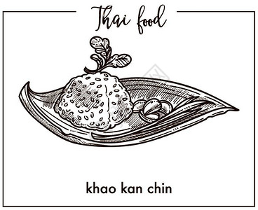 手绘泰国传统美食矢量插画图片