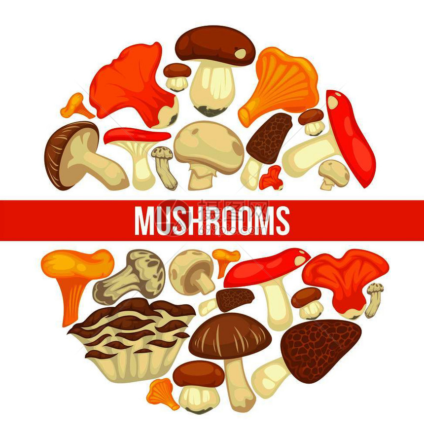 温室可食用蘑菇海报冷室可食用蘑菇海报温室可食用辣椒和香肠或森林菇和龙虾蘑图片