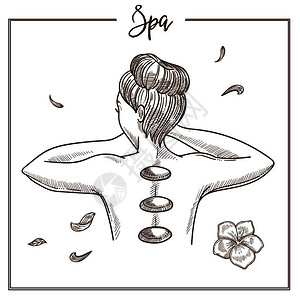 草药素描矢量将按摩热石隔离在妇女背上用于SPA皮肤护理程序或化妆品设计插画
