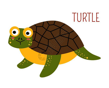 陆地乌龟野生动物海龟矢量图插画