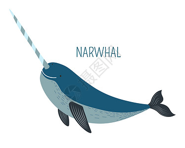鲸鱼矢量Narwhal与尖锐的角儿童书卡通字符头部脚手和尾带有的外生鱼用于童话故事和孤立的矢量插图水下生物漫画Narwhal与尖角儿童书背景
