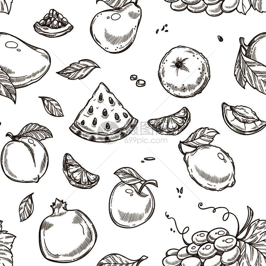 西瓜水果和苹含有叶片单色草图提纲无缝模式矢量有机食物和橙子葡萄桃杏梨富含维生素的石榴含有叶片形态矢量的西瓜水果和苹图片