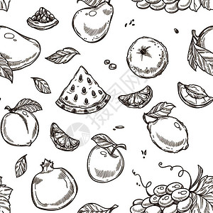 杏桃西瓜水果和苹含有叶片单色草图提纲无缝模式矢量有机食物和橙子葡萄桃杏梨富含维生素的石榴含有叶片形态矢量的西瓜水果和苹插画