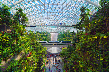 百万新加坡城JewelChangi机场室内设计装饰瀑布花园和树木背景