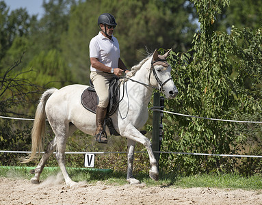 骑马的男人正在训练她的年轻马高清图片
