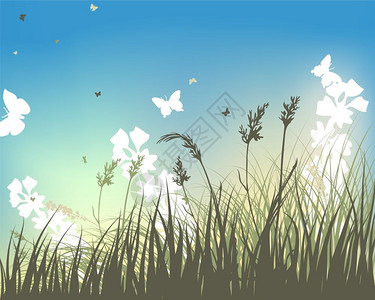 秋天带飞行蝴蝶的草原背景矢量说明图片