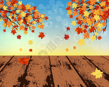 木板空间秋天枫叶背景插画