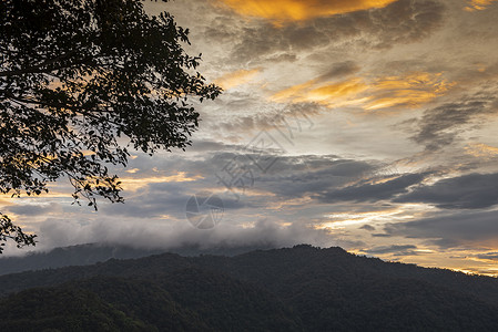 日落的风景美丽山上有橙色的天空云山上有树前景日落的山脉在亚洲森林雾图片