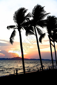 热带海滩棕榈椰子树橙色山和地背景的浅海滩游客图片