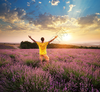 紫衣草地上的男人情感场景图片