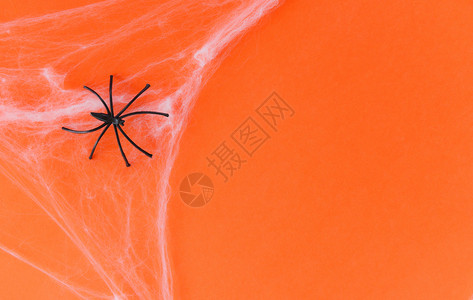 卡通手持网蜘蛛网和橙装饰上黑蜘蛛的万圣节背景为派对配件物概念欢庆节日背景
