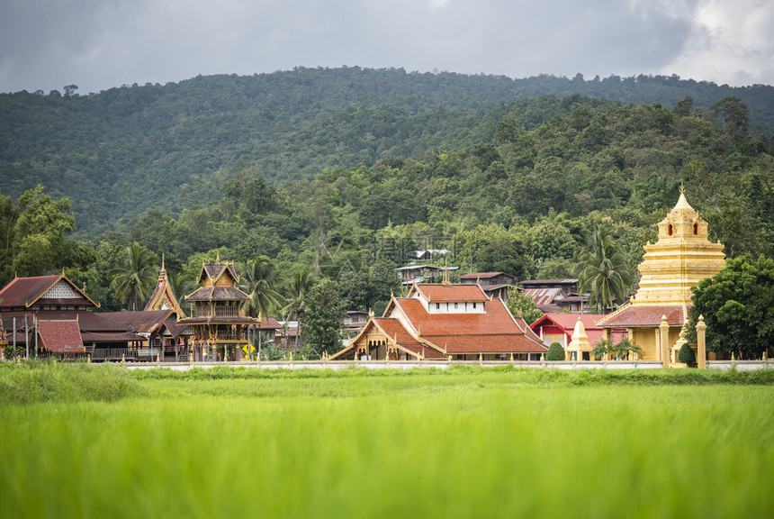 泰国古老的金塔寺庙和山地背景的古老寺庙对绿稻田的景象图片