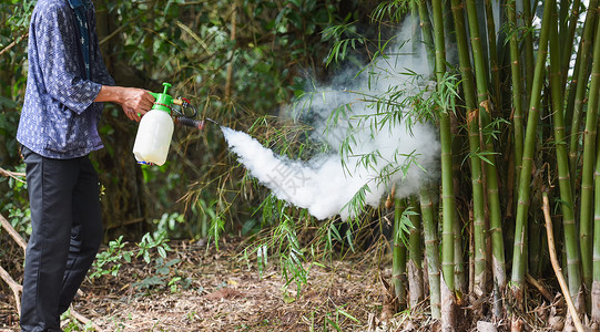 驱避剂男子在竹林蚊喷雾中持以消灭蚊子防止传播登革热和Zika背景