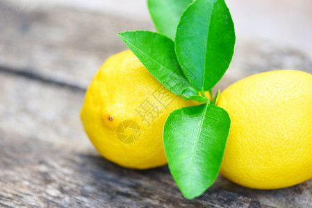 夏季桌边背景绿色叶子的新鲜柠檬图片