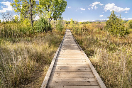 自然足迹在秋天风景中穿过湿地的木板路道旅程比喻图片