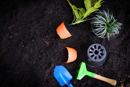 以土壤为背景的园艺工具准备在花园种植和小物图片