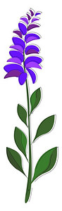用于烹饪矢量彩色绘画或插图的有紫花红树图片