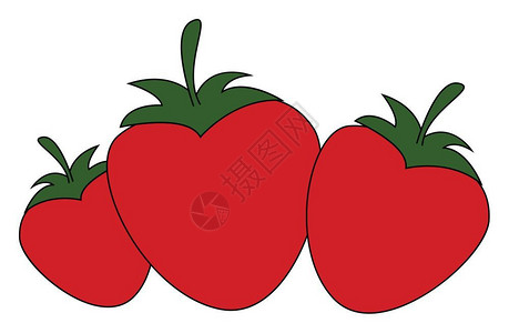 三种草莓以不同形状的明红色显示矢量颜图画或插图片