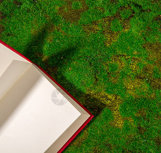 一本有红色封面的开放书写在绿草上从面查看书写在草上图片