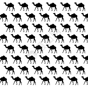 无缝骆驼形态白底3D图片