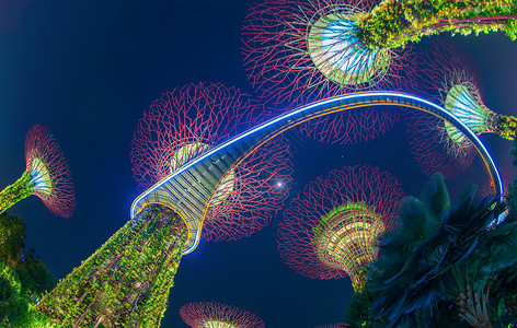 新加坡之夜超级树林园晚上在新加坡市下城区MarinaBay区的海湾花园或户外人工植树背景