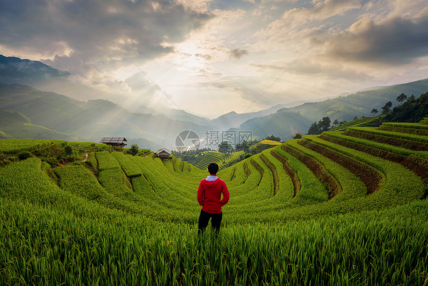 一位亚裔男子在稻田地MuCangChaiYenBai山谷郊区的农地观望图片