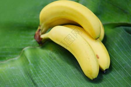 香蕉叶的夏季果实的香蕉叶背景图片