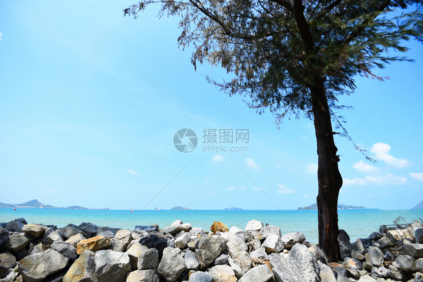 夏季蓝天空和岛屿背景的热带海滩有松树和岩石图片