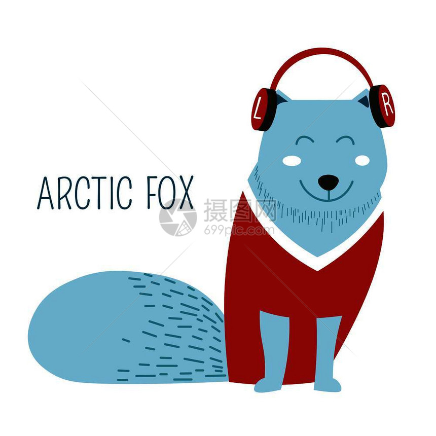 北极狐听音乐和戴耳机的北极狐有趣动物放松和休息耳机发出的声音毛防寒冷天气听音乐和戴耳机图片