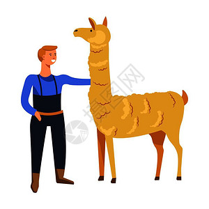 羊驼特写农民饲养哺乳动物骆驼代表由农舍的男子照料Alpacaguanaco饲养羊毛和皮饲养动物雄山羊插画