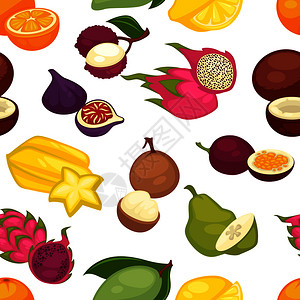 帕格拉热带水果图案插画