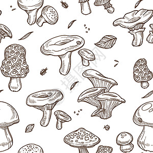 松乳菇蘑菇花草和森林树脂或浮泡有毒的阿曼尼塔和拉克泰利乌斯或草绘制无缝的图案矢草食插图背景