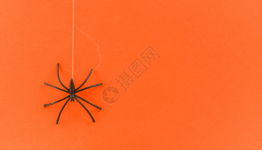 卡通蜘蛛蜘蛛网和橙装饰上黑蜘蛛的万圣节背景为派对配件物概念欢庆节日背景