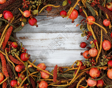 白锈木上圆环边的感恩节秋天装饰图片