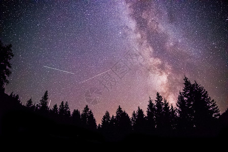 夜晚星空下的树影图片