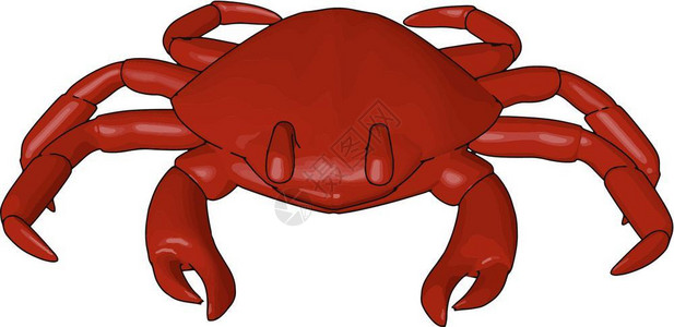红螃蟹矢量插画图片