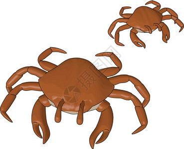 卡通螃蟹矢量设计插图背景图片
