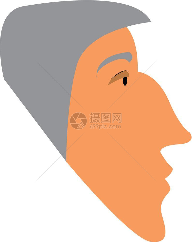 一位老人的侧面肖像上有灰色头发向量颜图画或插图片
