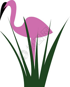 卡通美丽的粉红色火烈鸟站在树叶后矢量元素图片