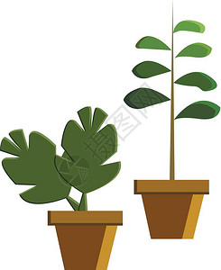 绿色栽培植物矢量插图图片