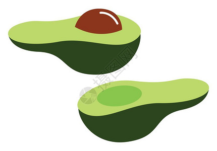 Avocado被切成两半里面有种子矢量彩色画或插图图片