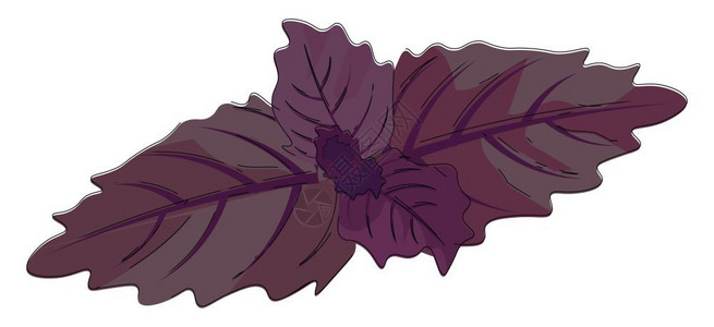 卡通紫色植物矢量设计插图图片