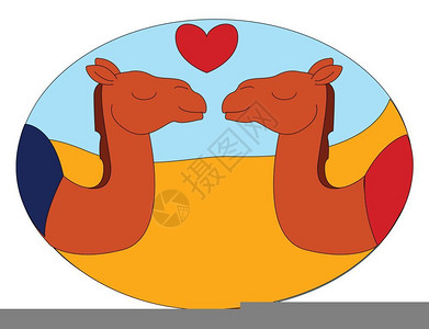 两只骆驼之间的爱两只骆驼之间的心脏符号矢量彩色绘画或插图背景图片