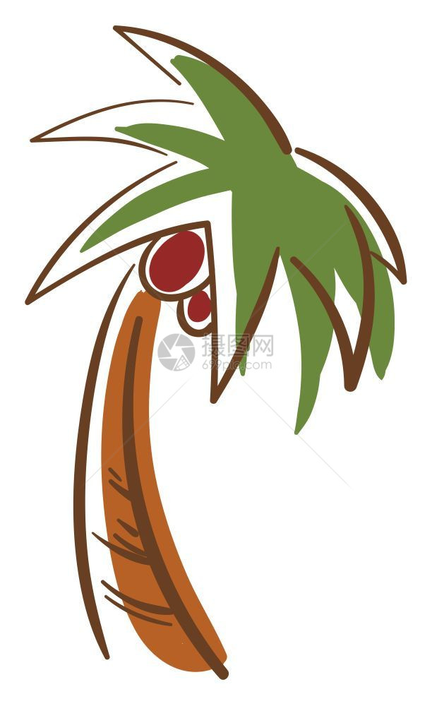 高的棕榈树卡通配有绿叶和红棕榈果矢量彩色绘画或插图图片