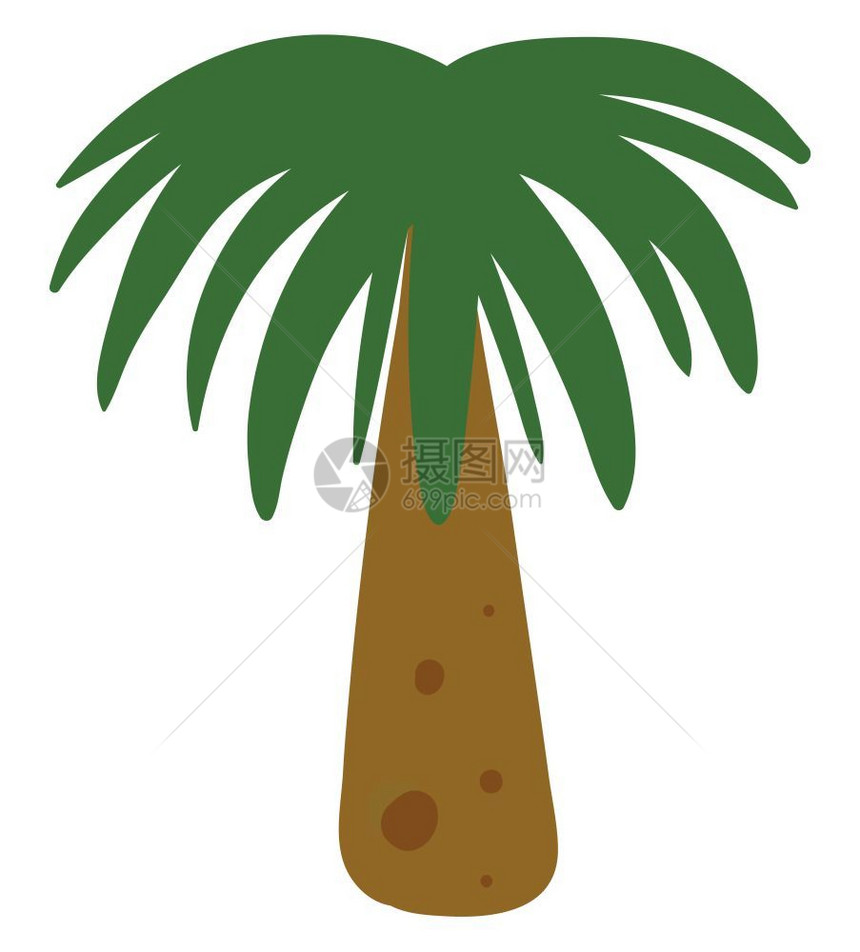 短棕榈树其高度和形状矢量彩色图画或插均成平原图片