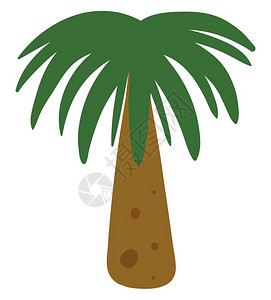 棕榈树树皮短棕榈树其高度和形状矢量彩色图画或插均成平原插画