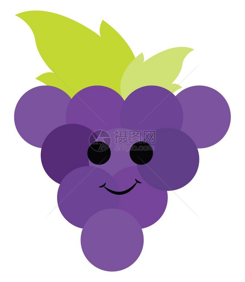 可爱的紫色葡萄已经成熟有新鲜绿叶矢量彩色画或插图图片