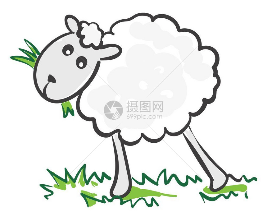 羊食草向量颜色图画或插图片